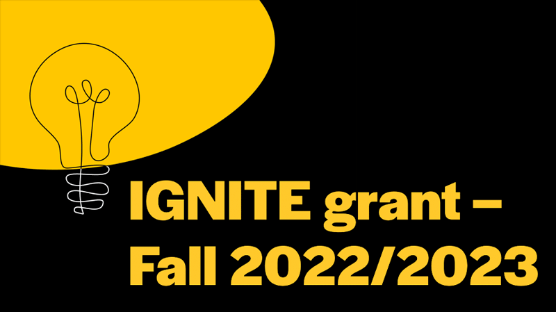 Black Research Network, IGNITE grant — Fall 2022/2023