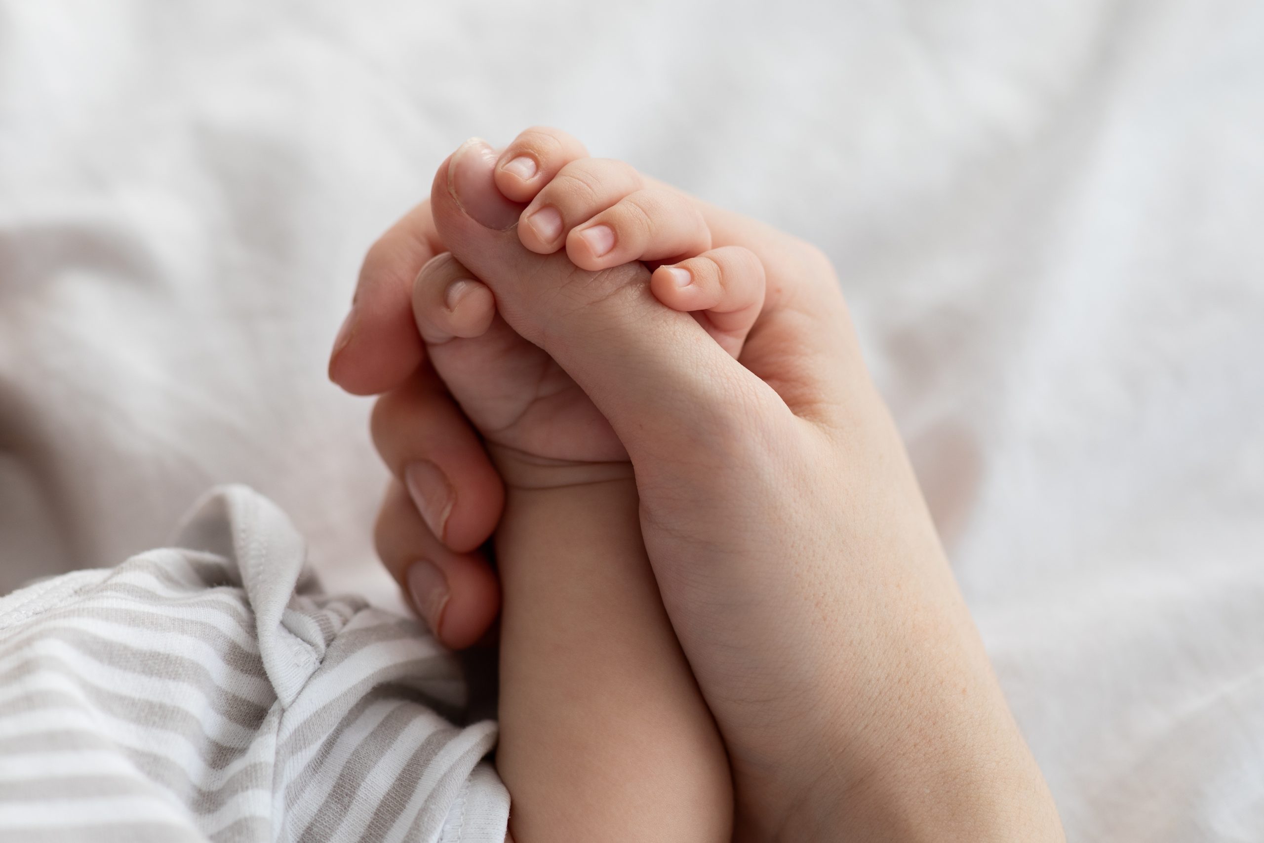 Closeup of an adult hand holding a newborn's hand